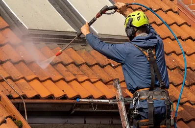 Démoussage et hydrofuge de toiture à Tajan